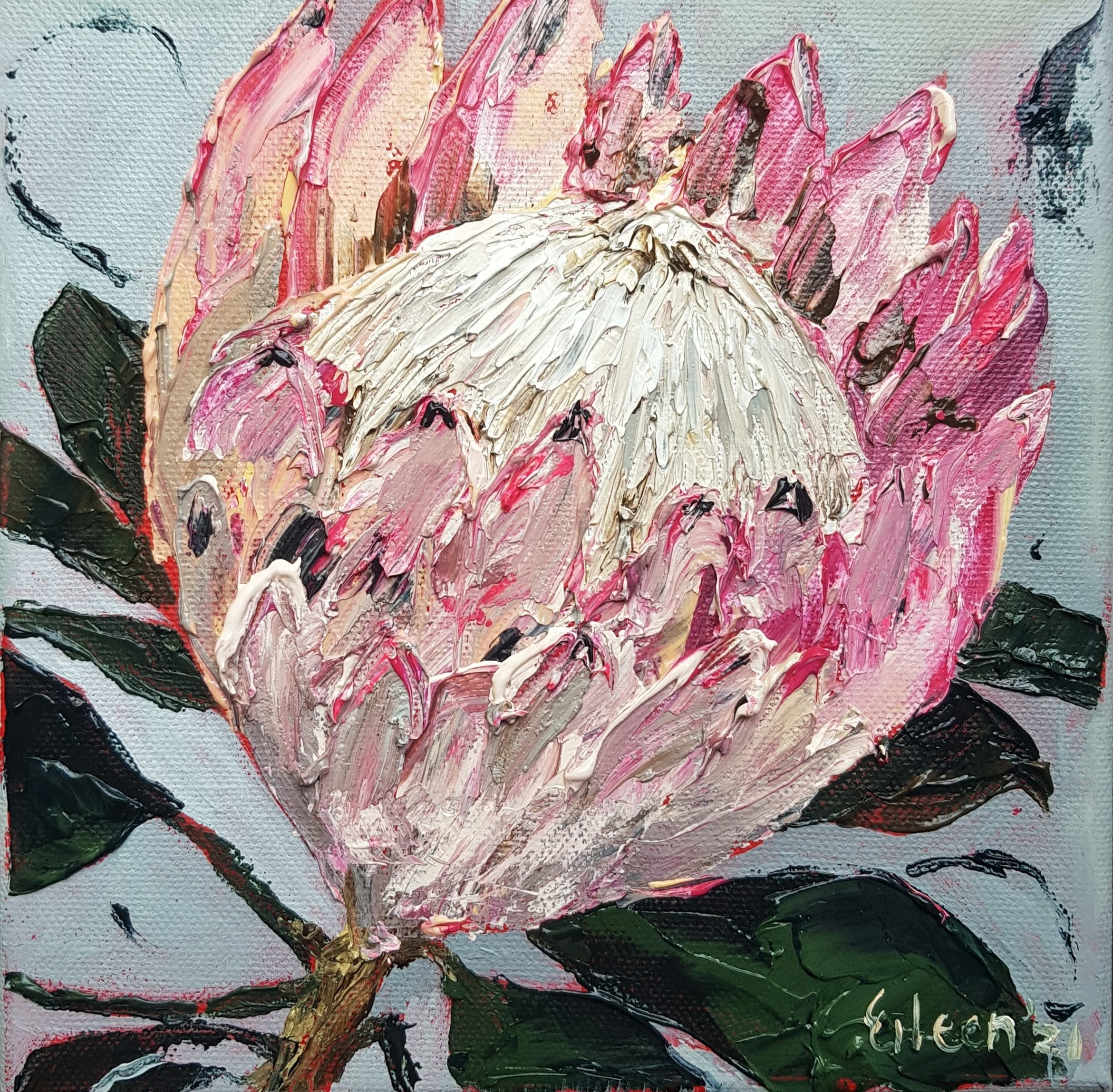 This image has an empty alt attribute; its file name is 20210429_131405-01.jpg